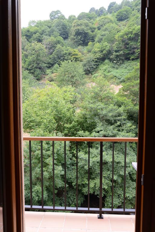 Apartamentos El Rincon De Limes Cangas De Narcea Room photo